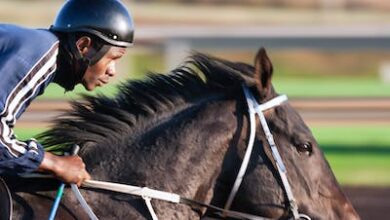 Hitter in a horseback sport crossword clue