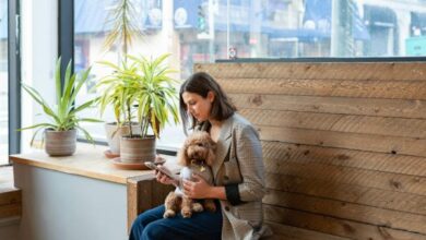 are snake plants toxic to dogs